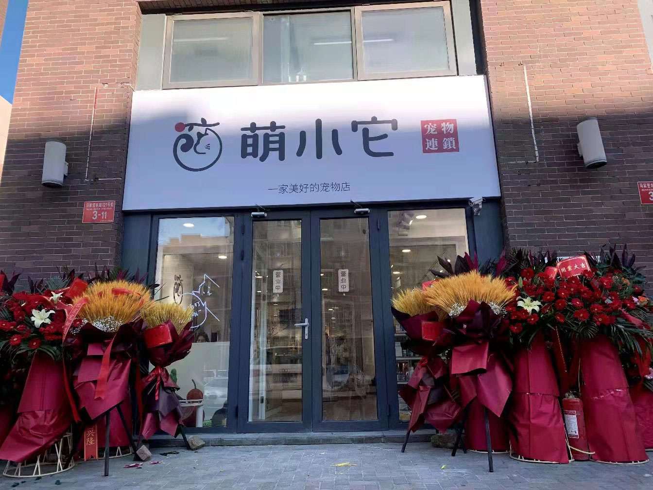 学习宠物美容技术的就业前景怎么样？